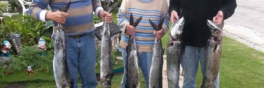 Saterdag het die manne hulle snoeke by Dassiegat gekry. Gert Potgieter, Freddie Carse en Eldo Marais het seker gemaak hulle roosters gaan werk kry.